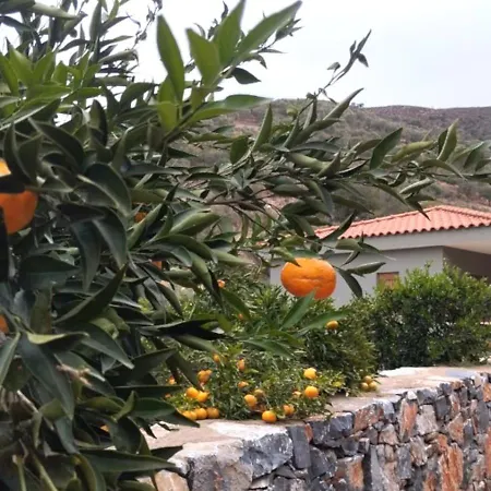 Villa Litinos *